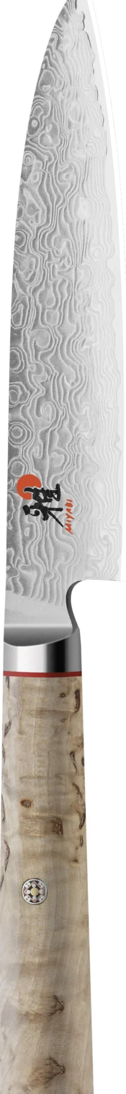 5000 MCD Chutoh 16 cm