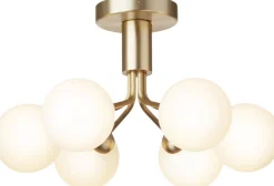 Apiales 6 Ceiling, brushed brass / opal