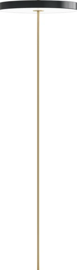 Asteria Floor Anthracite