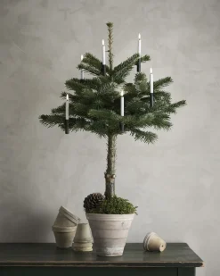 Battery box, plain, Dark green