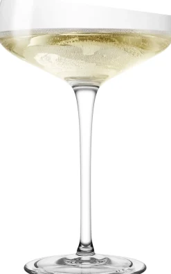 Champagne Coupe