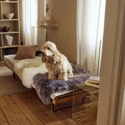 90cm-up New Zealand Sheepskin, Long Wool Dark Grey/ 90x60