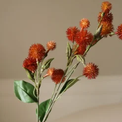 Echinops Ritro Thistle Ball