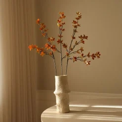 Enkianthus Perulatus Leaves