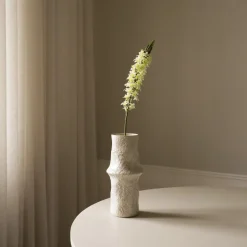 Eremurus Large Foxtail Lily