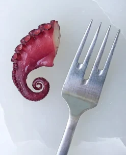 Grand Prix Fiskegaffel