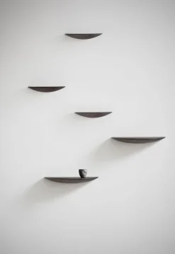 Gridy Fungi Shelf, Medium, Black Oa