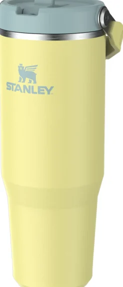 IceFlow Flip Straw Tumbler 0.89L