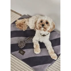 Kaya Hundetæppe - Lille