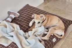 Kaya Hundetæppe - Lille