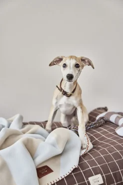 Kaya Hundetæppe - Medium