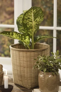 Kurv firkantet bund, rund top