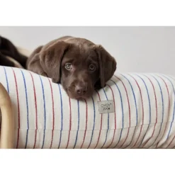 Kyoto Hundepude - Lille