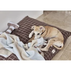 Kyoto Hundepude - Medium