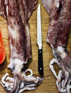 Little Fish - kniv 17 cm