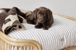 Otte Hundeseng - Lille