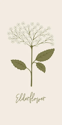 Serviet Elderflower 16 stk pr pakke