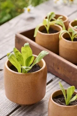 Skjuler m/fod Saga brun