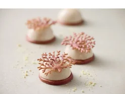 Tuileform Træ Latte Silikone