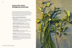 Vietnamese Made Easy